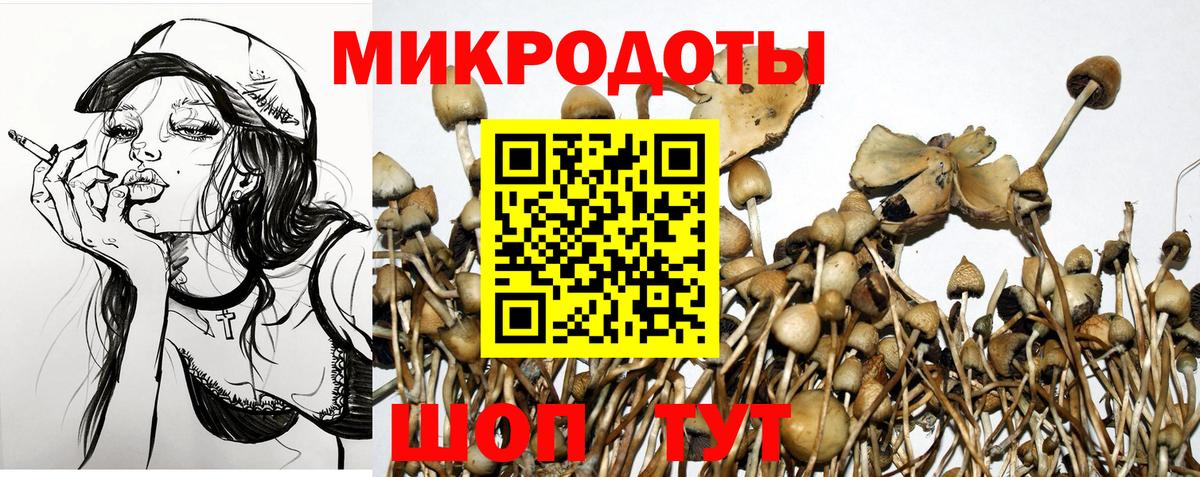 Галлюциногенные грибы Psilocybe  Галлюциногенные грибы GOLDEN TEACHER  Заинск  Вход с VPN 